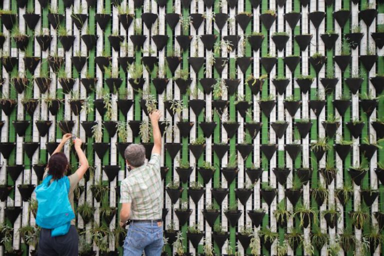 Can Vertical Garden Walls Save Space Outdoors?