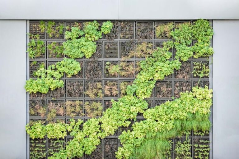 Is a Vertical Garden Possible in a Small Backyard?