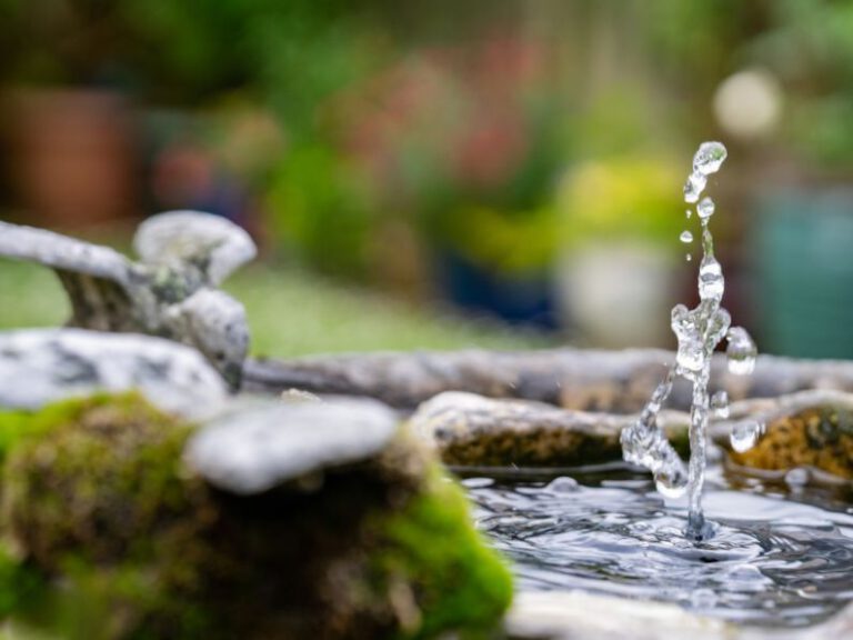 Can You Create a Mini Oasis with a Water Feature?