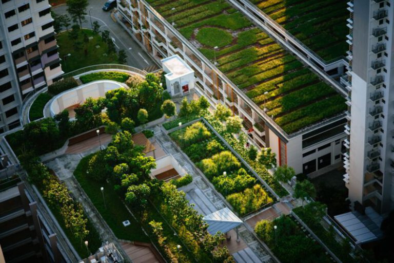 Are Green Roofs the Future of Eco-friendly Living?