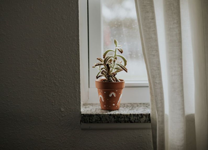 Curtains DIY - green plant on brown clay pot